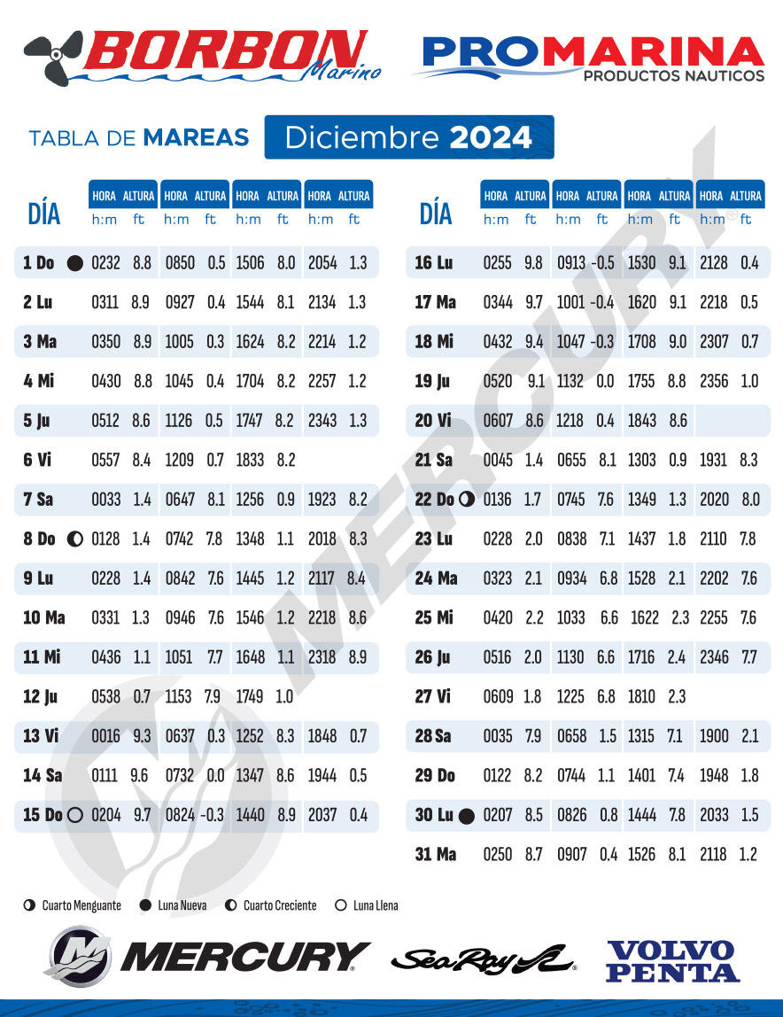 Diciembre 2024